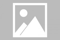 17c.com网页版在线看网页版网页官方（网页版网址）